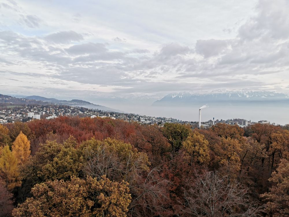 The view from Sauvabelin Tower
