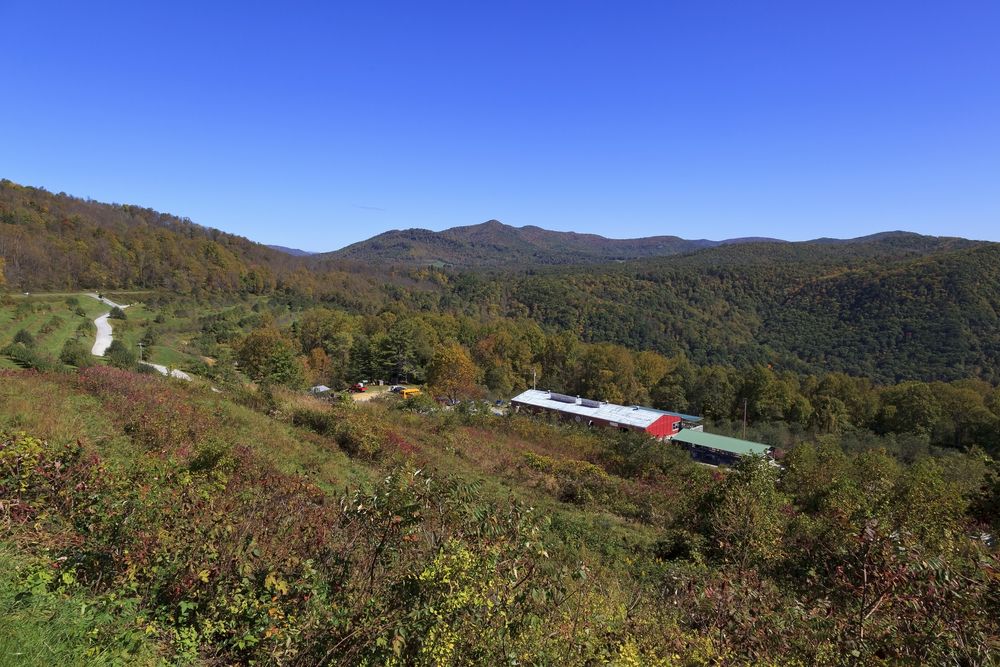 Daytime view of the Orchard At Altapass