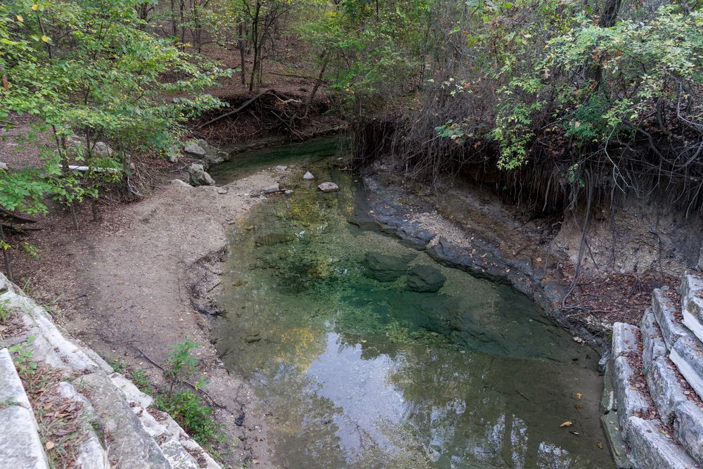 A river at Arbor Hills Nature Preserve
