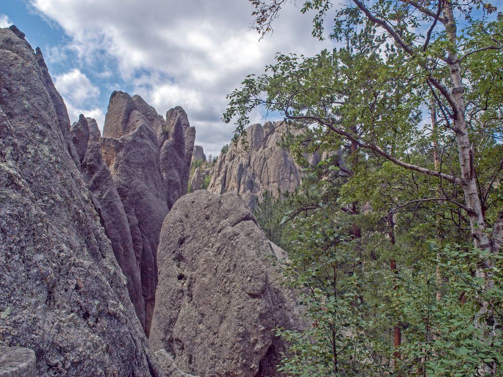 Stone spires on the Needles Highway