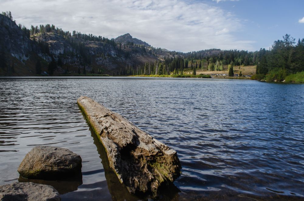 The waters of Tony Grove Lake