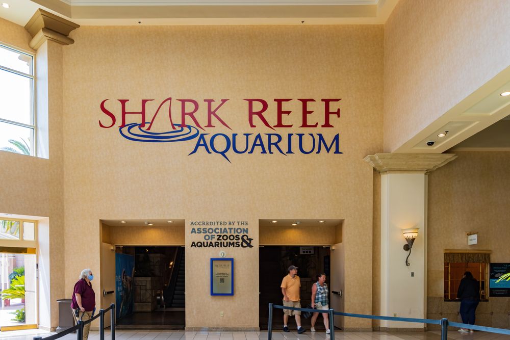 Exterior of the Shark Reef Aquarium