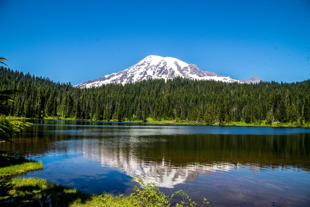 Scenic view of Mt. Rainier