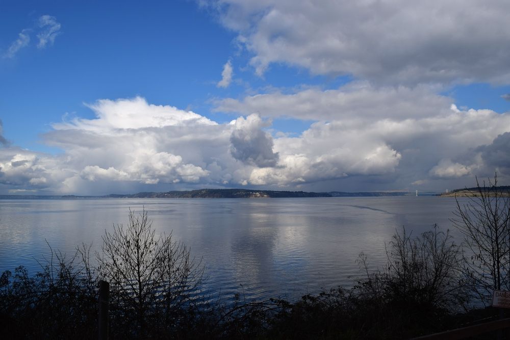 The waters of Steilacoom Lake