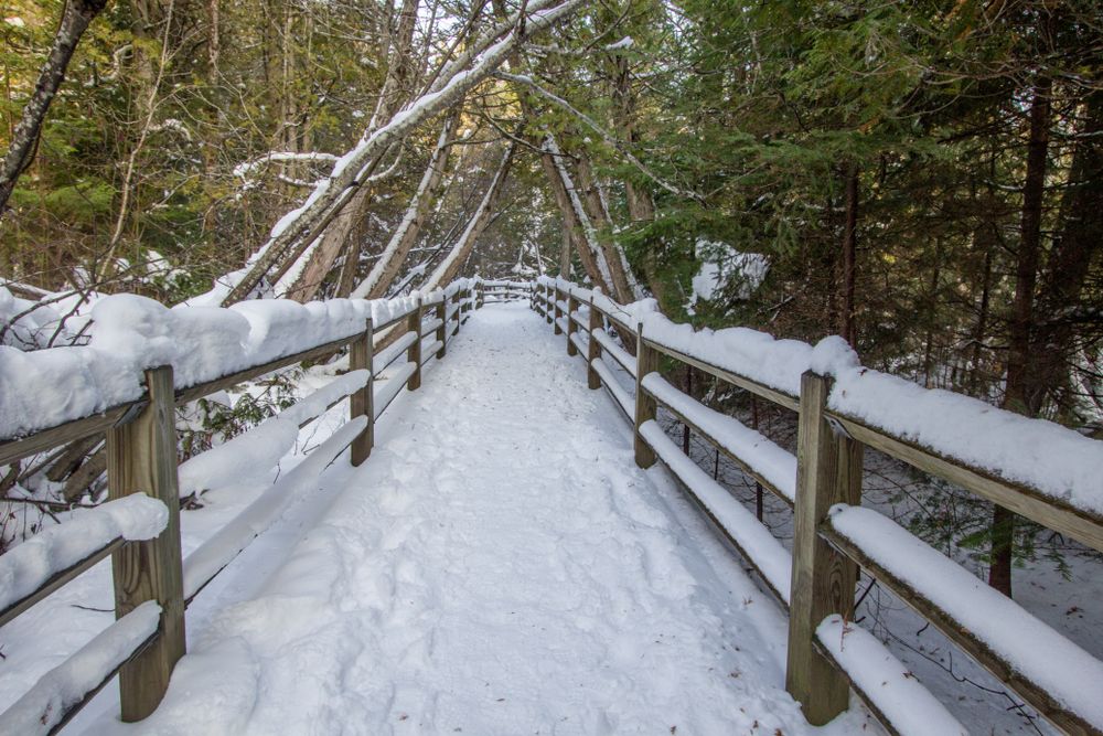 Snow-covered boardwalk at Tahquamenon Falls State Park