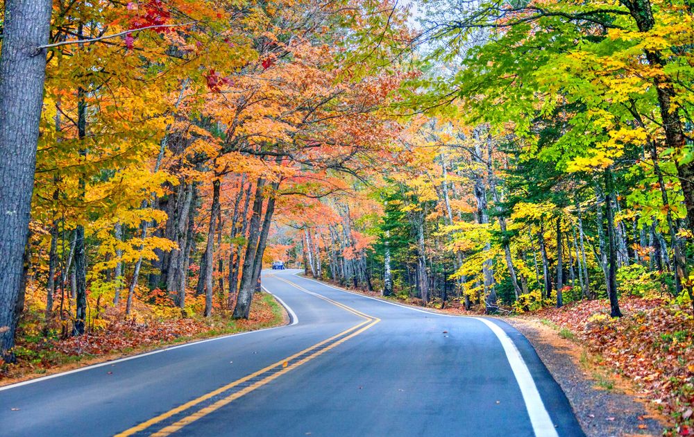 The road of US Highway 41