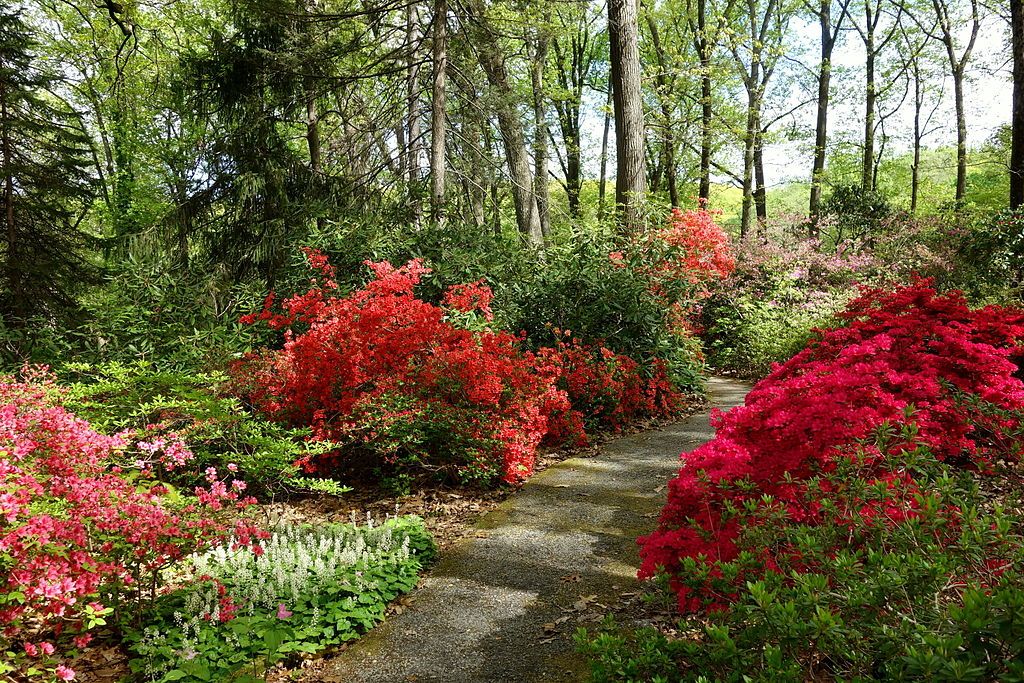 Trail lined with vibrant flowers in Jenkins Arboretum & Gardens