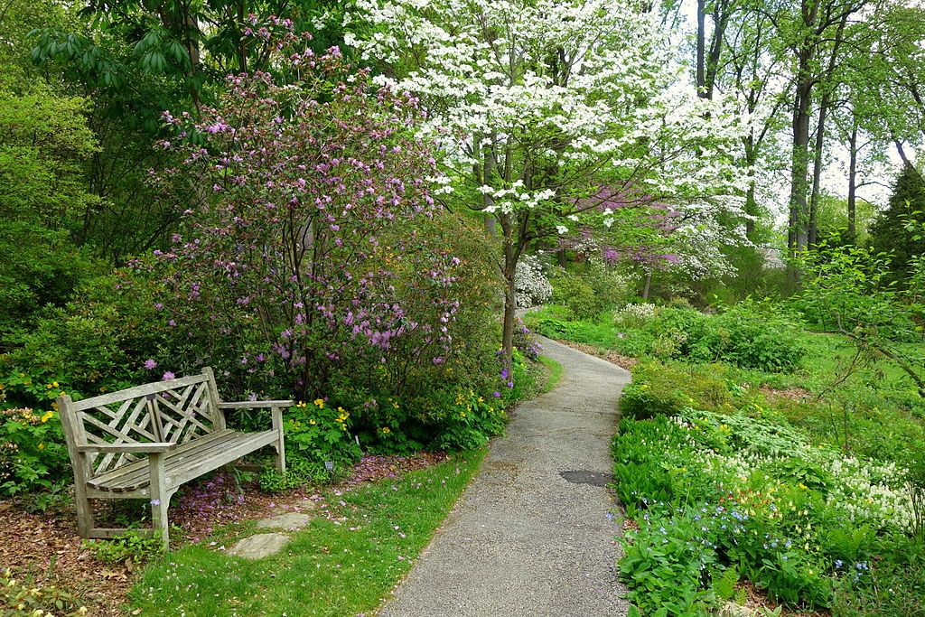 A wooden bench along the walkway of Jenkins Arboretum & Gardens