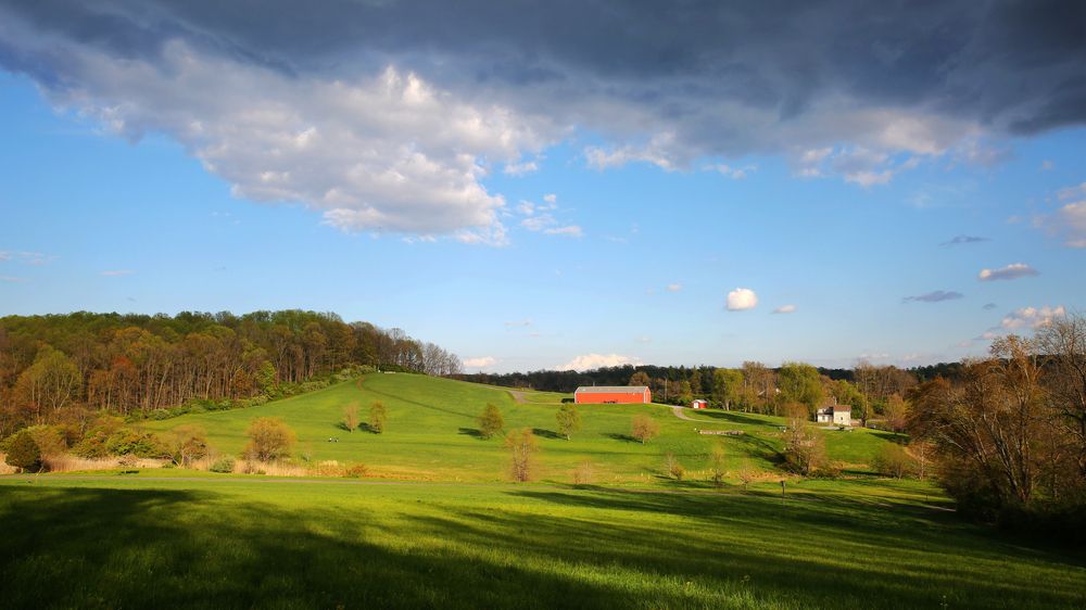 Springtime landscape of Okehocking Preserve