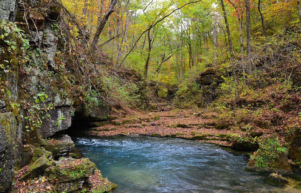 Waters of Greer Spring