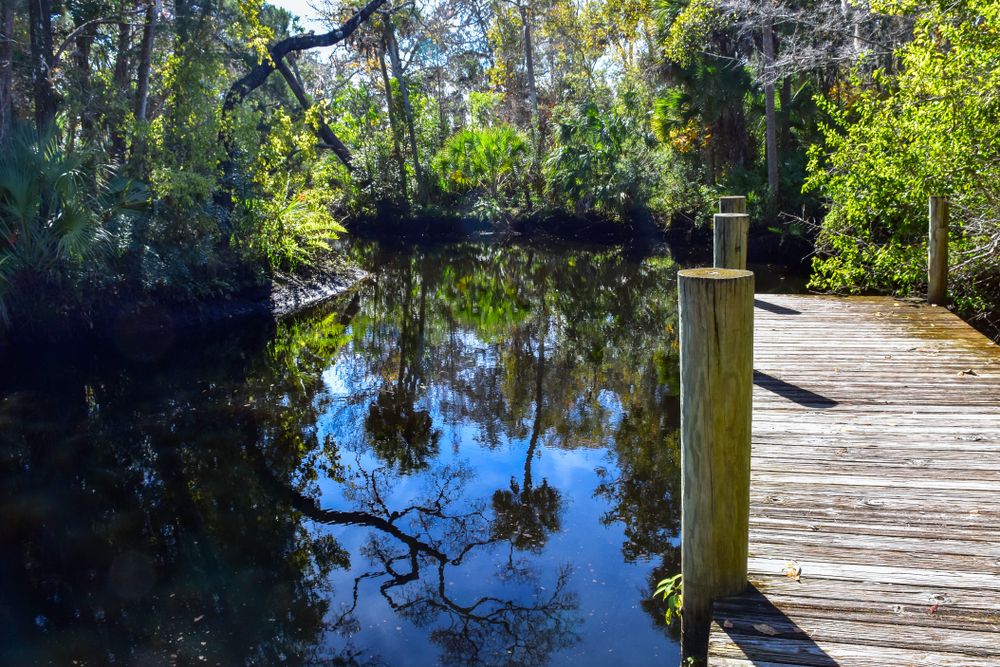 The waters of James E. Grey Preserve