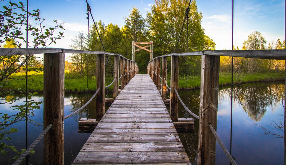 A bridge at Hiawatha National Forest