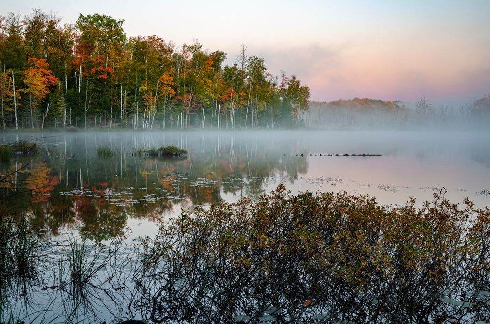 Scenic view of Hiawatha National Forest