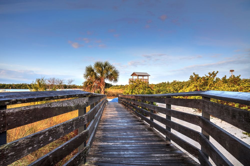 Boardwalk leading to Tigertail Beach's bird observation tower