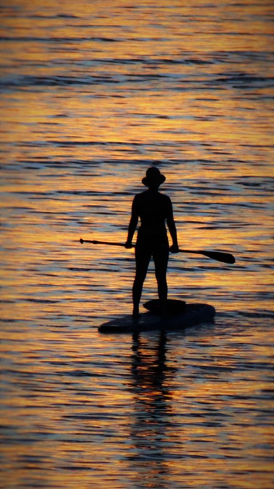 Silhouette of a person paddle boarding on marco island waters during sunset