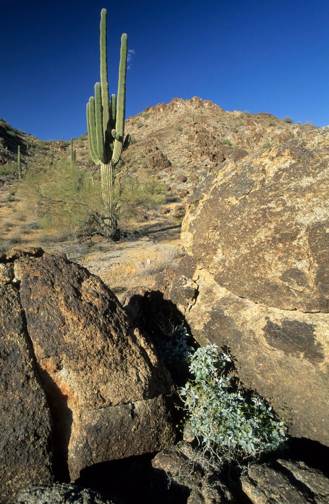 Rocky landscape of Sonoran Desert National Monument