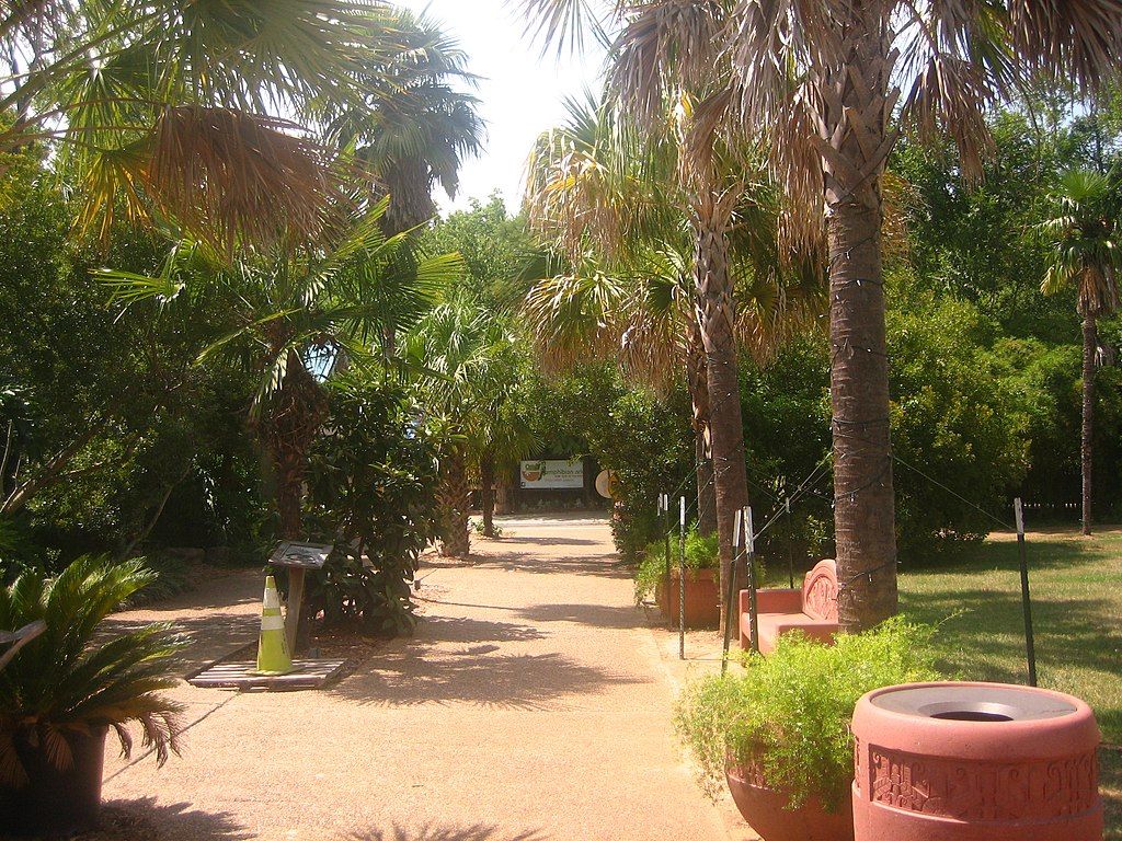 Walkway lined with trees in Alexandria Zoological Park