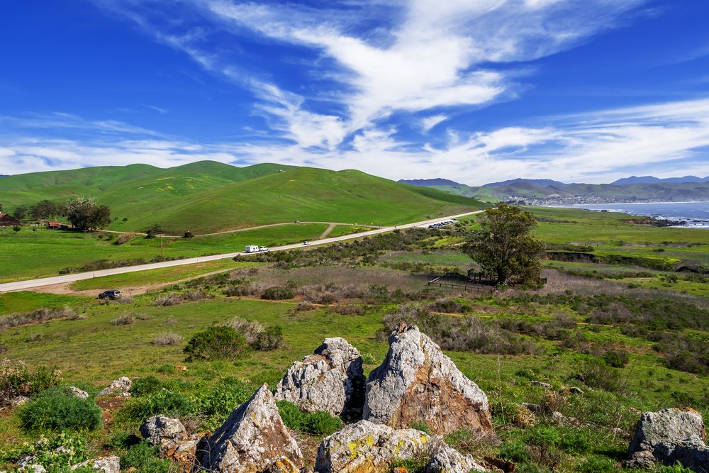 Scenic view of Estero Bluffs State Park's road