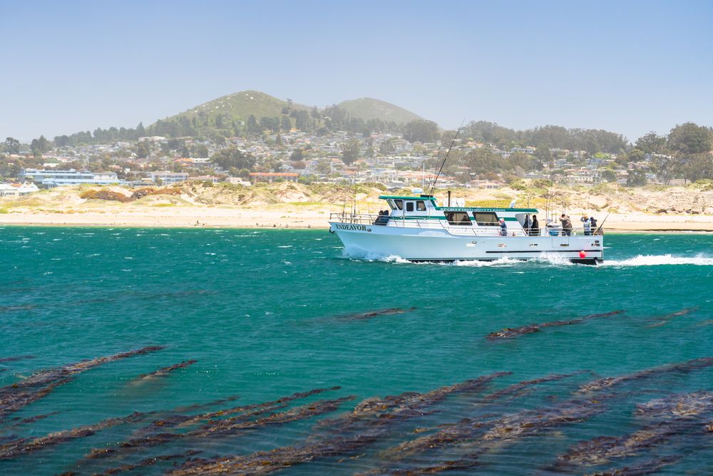 Morro Bay Landing boat on the water