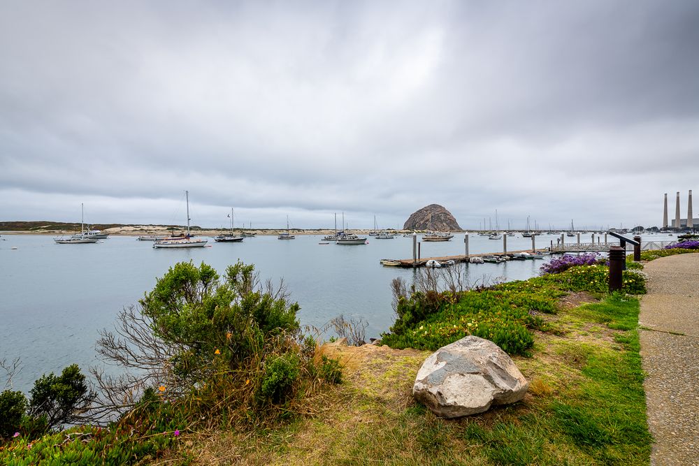 Daytime at Tidelands Park