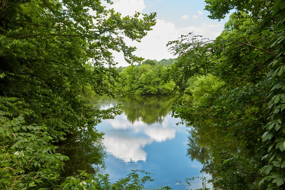 Waters of Black Rock Sanctuary