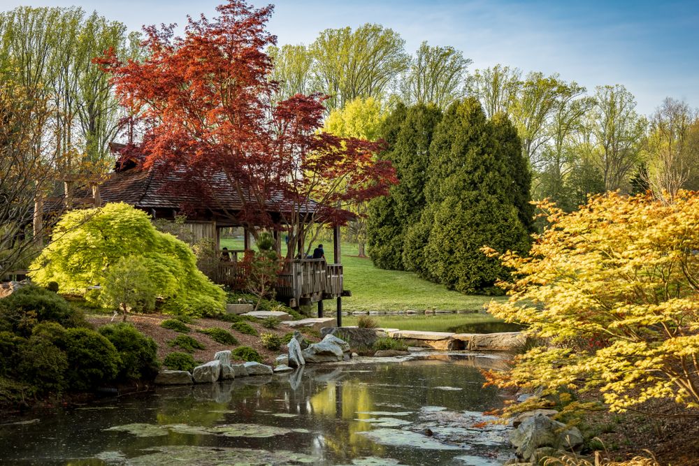 Daytime view of Brookside Gardens