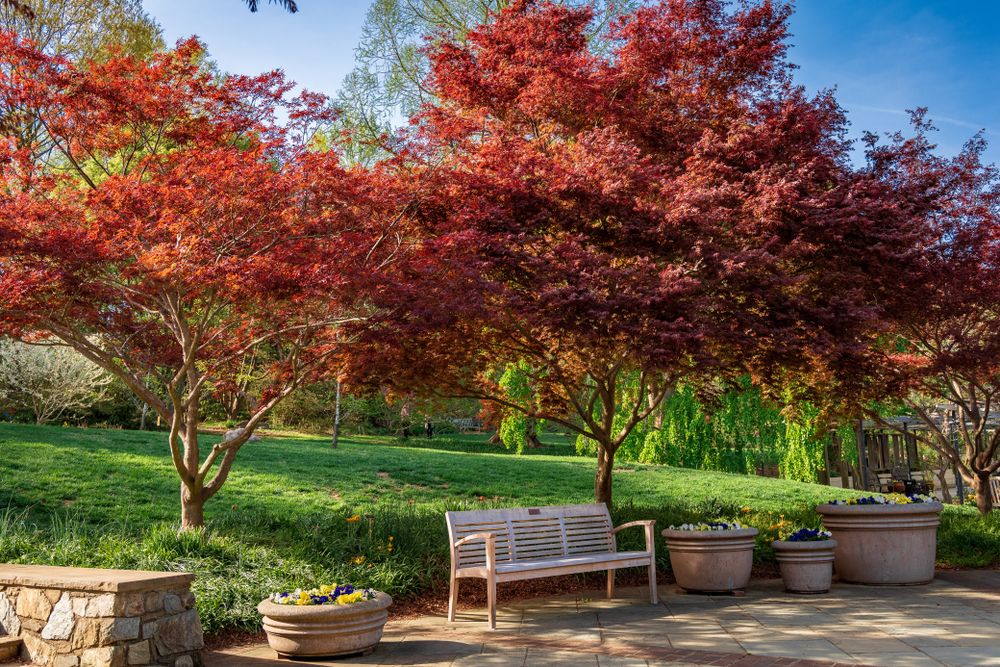 A wooden bench at Brookside Gardens