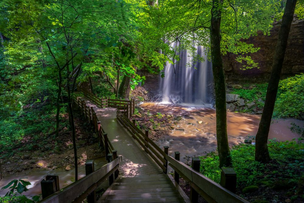 Trail leading to the waterfall at Charleston Falls Preserve