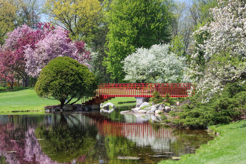 A bridge over the waters of Dow Gardens
