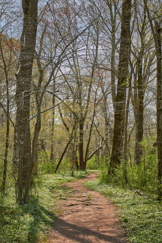 Nature trail at Evansburg State Park