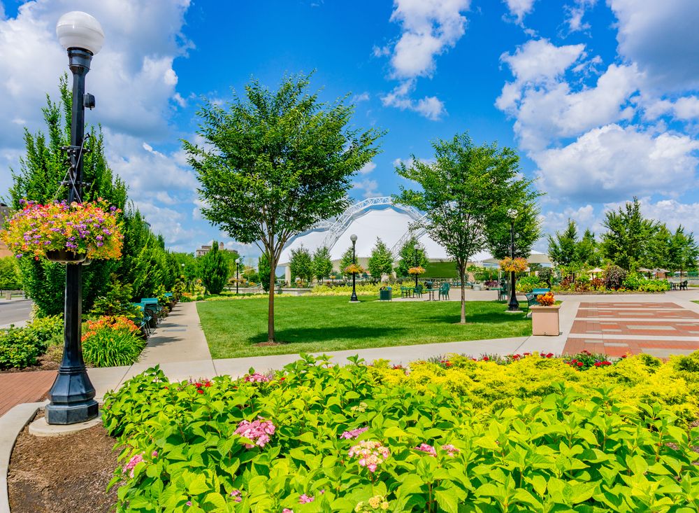 Flora at Five Rivers MetroParks