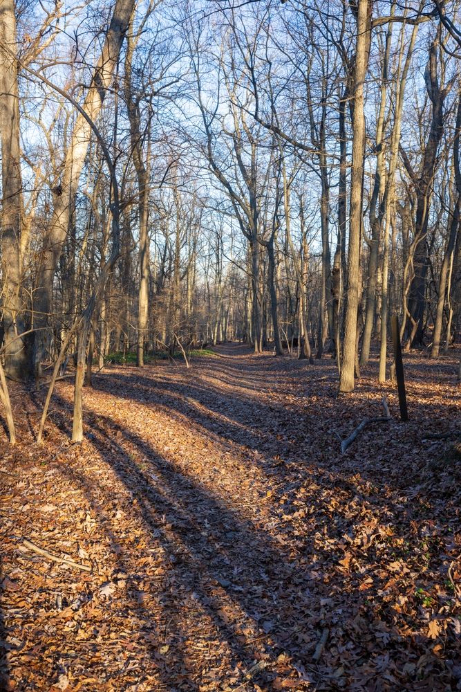 Trail at Fort Washington State Park