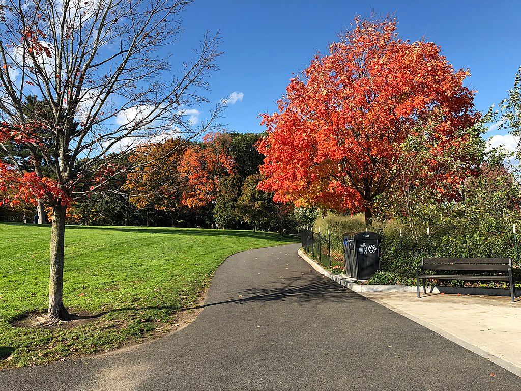 Trail at Fresh Pond Reservation
