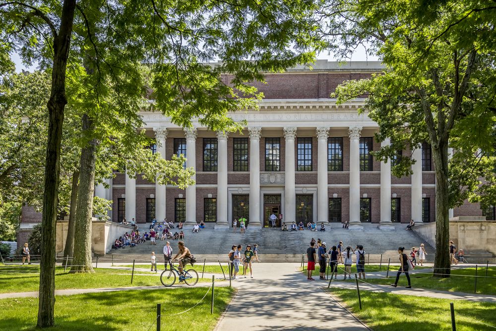 Students at Harvard University