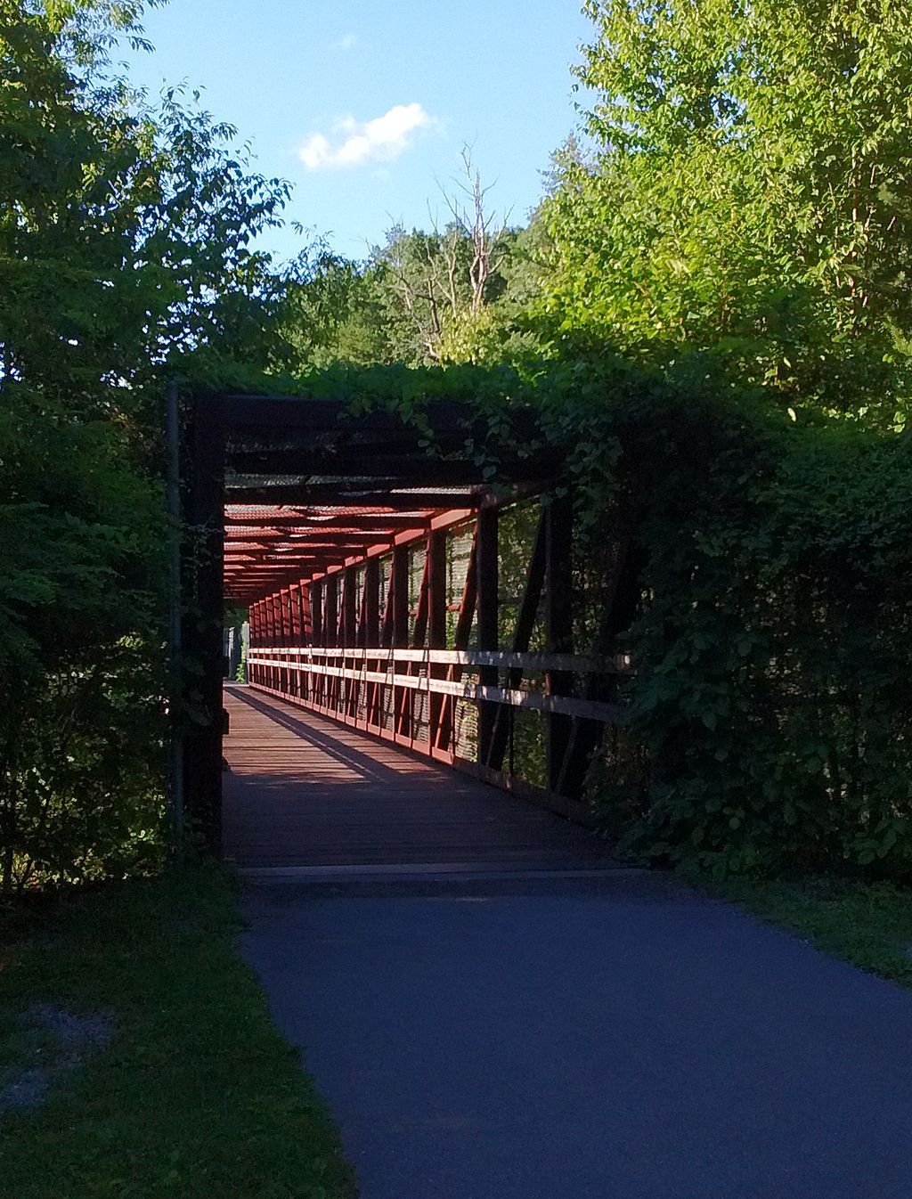 Bridge part of Huckleberry Trail
