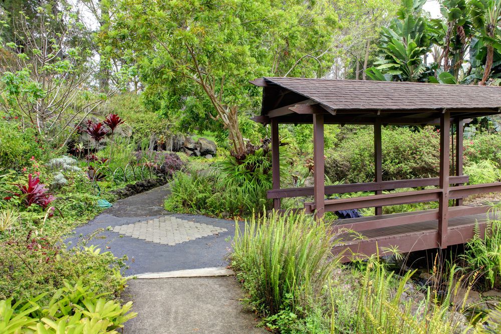 Flora at Kula Botanical Gardens