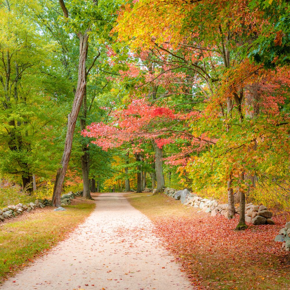 Battle trail at Minute Man National Historical Park