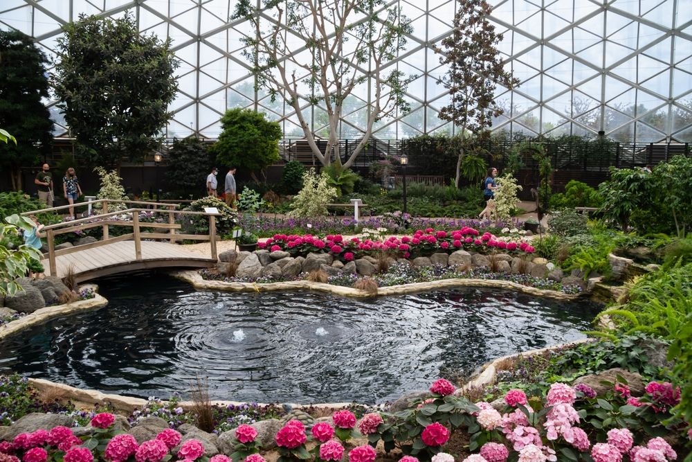 A pond in Mitchell Park Domes