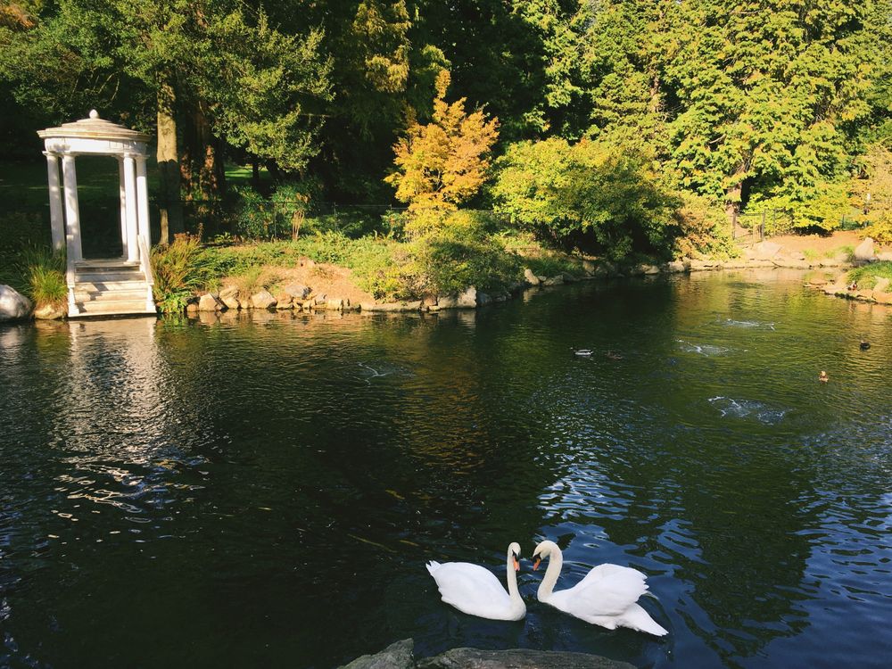 Pond at Morris Arboretum & Gardens