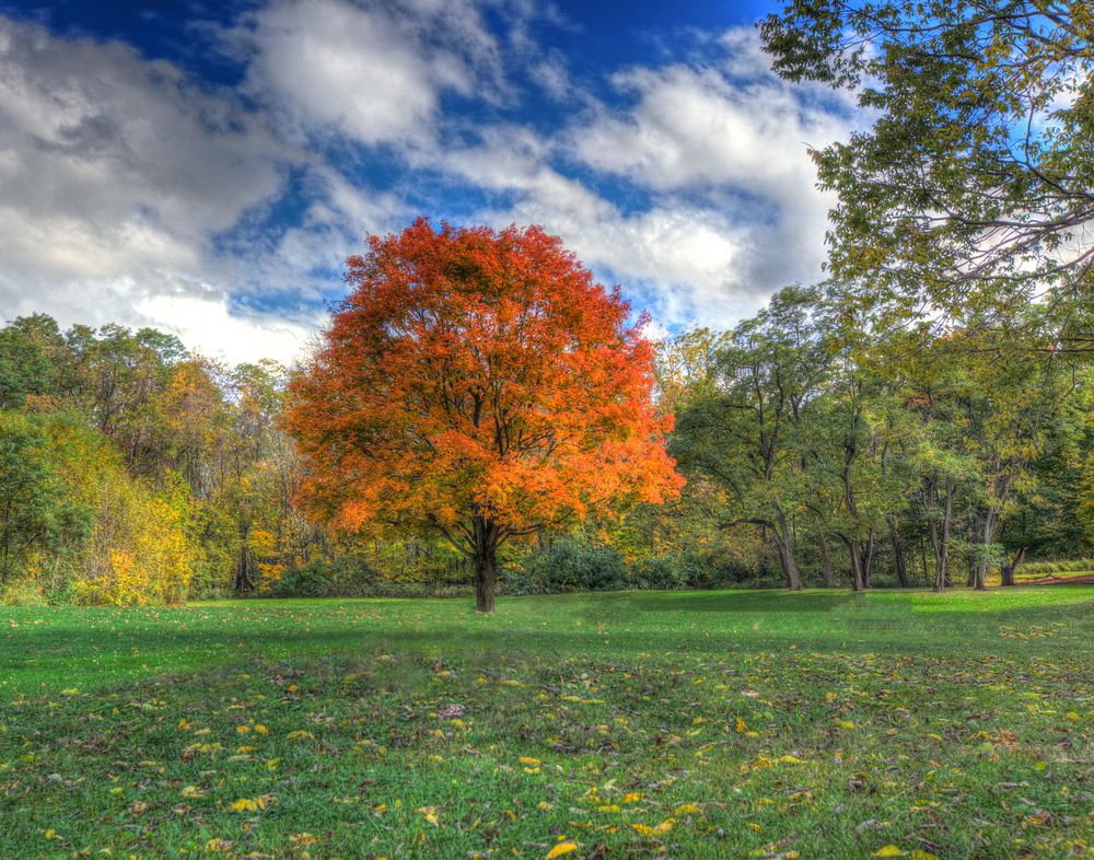 The grounds of Mounds State Park