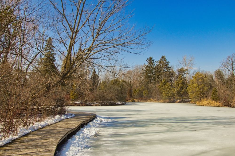 Winter scene at Schlitz Audubon Nature Center