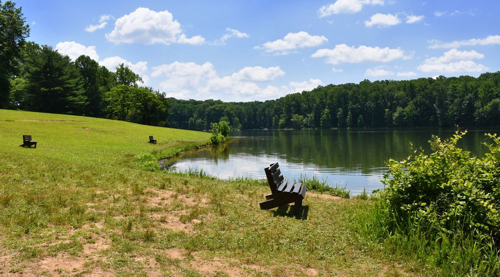 A bench overlooking the waters of Seneca Creek State Park
