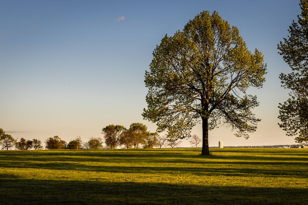The grounds of Veterans Park