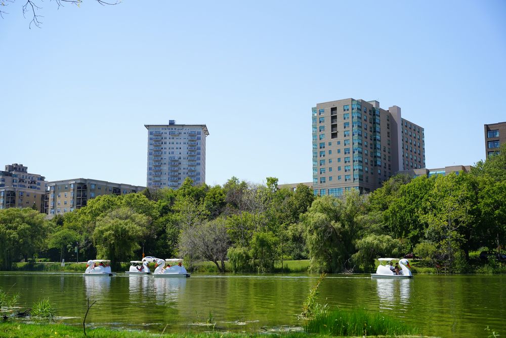 Paddle boats at Veterans Park