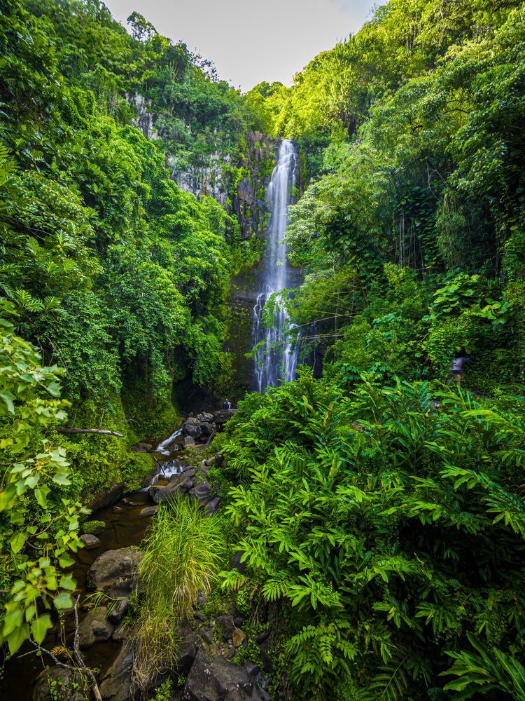 Scenic view of Wailua Falls