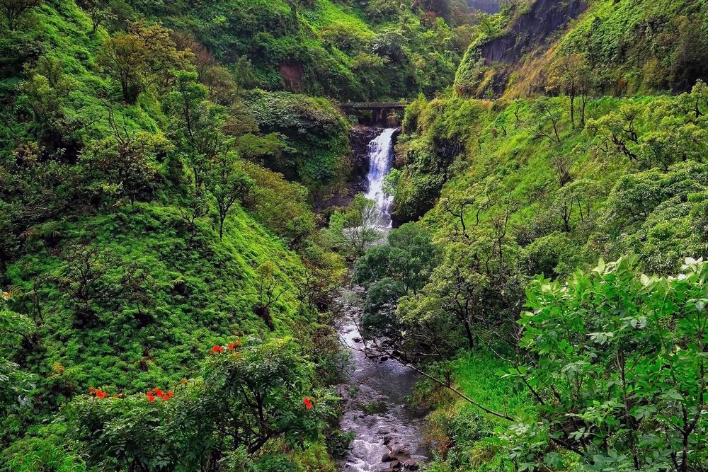 Aerial view of Wailua Falls