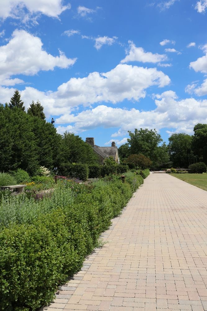 Trail at Whitnall Park