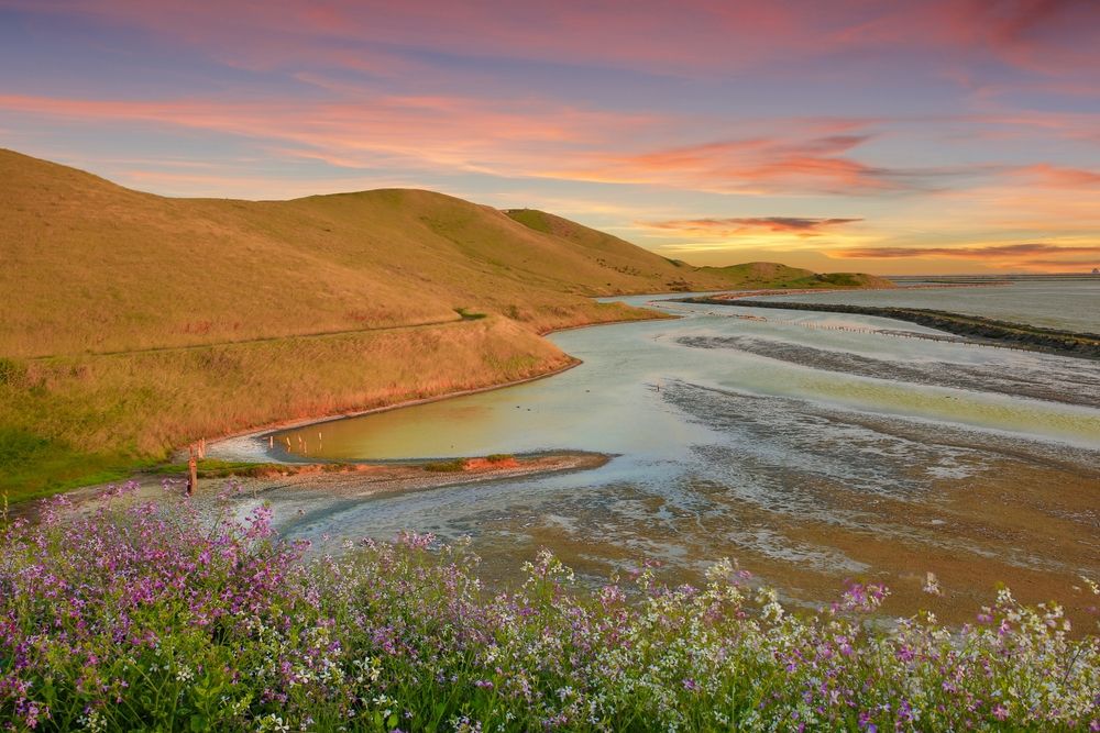 Scenic view of Coyote Hills Regional Park