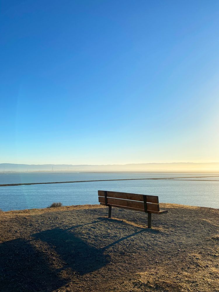 Bench at Coyote Hills Regional Park