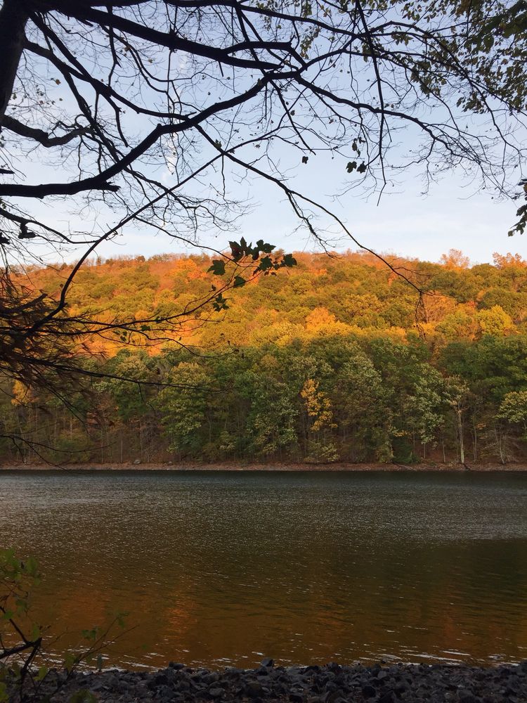 A lake at Giuffrida Park